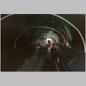 1988-08 - Australia Tour 055 - Sydney Aquarium Underwater Tube.jpg